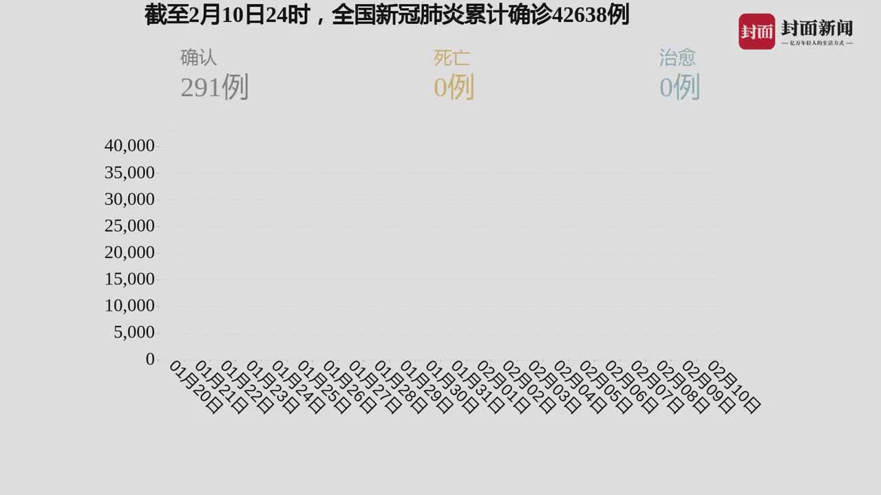 全球疫情最新数据与背后的温馨日常故事