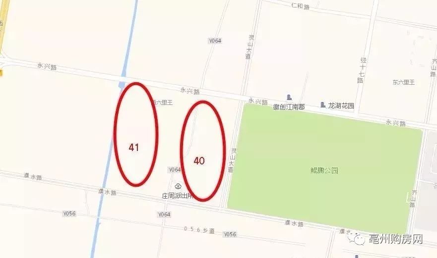实习期陪驾 第214页