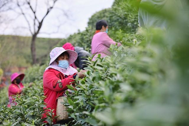 最新本地招工信息，轻松探索自然美景的旅程