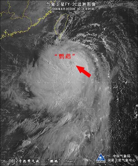 最新台风鹦鹉来袭，应对与准备任务指南