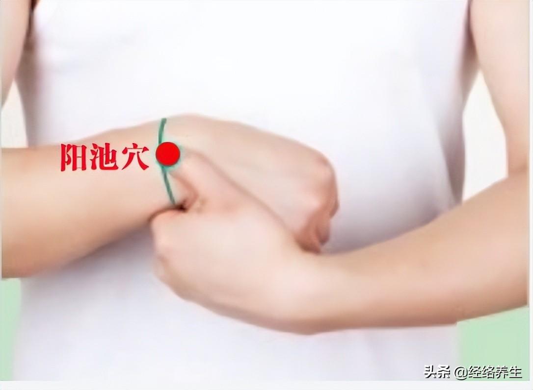 最新中指通深度探讨，观点与影响分析