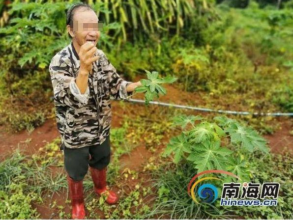 敲诈最新案详解，步骤指南与应对建议