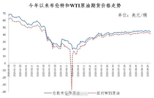 实习期陪驾 第18页
