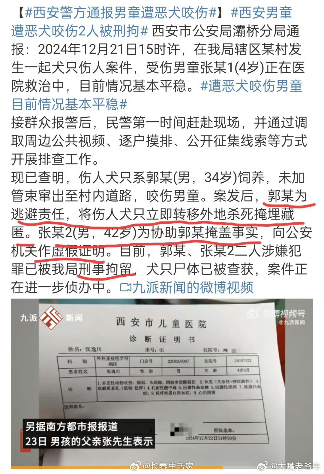 机动车驾驶员代驾 第6页